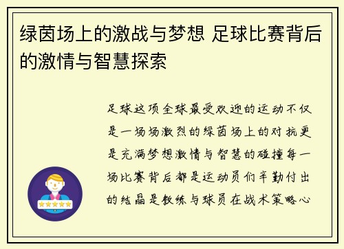 绿茵场上的激战与梦想 足球比赛背后的激情与智慧探索