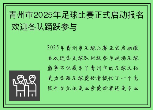 青州市2025年足球比赛正式启动报名 欢迎各队踊跃参与