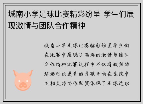 城南小学足球比赛精彩纷呈 学生们展现激情与团队合作精神