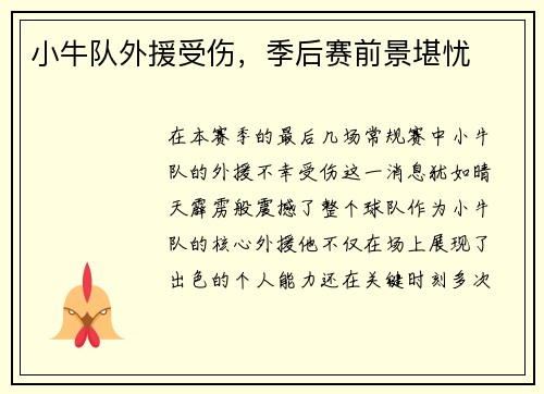 小牛队外援受伤，季后赛前景堪忧