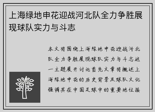 上海绿地申花迎战河北队全力争胜展现球队实力与斗志